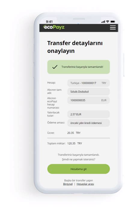 silver account ecopayz.
